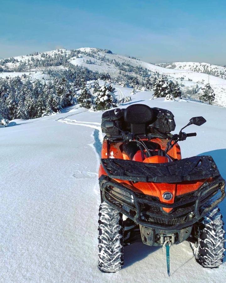 Vila Planinsko Blago Kopaonik Buitenkant foto