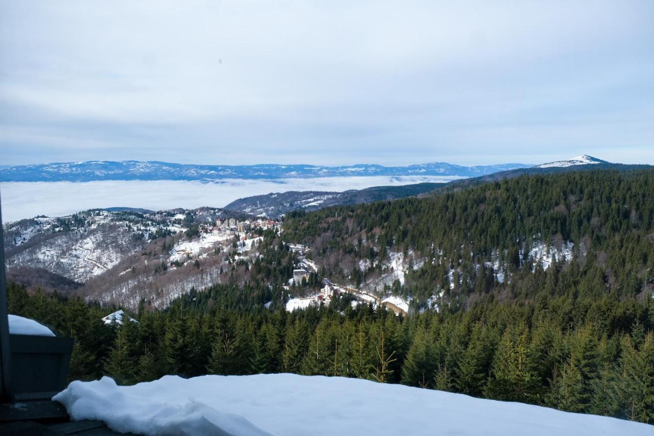 Vila Planinsko Blago Kopaonik Buitenkant foto