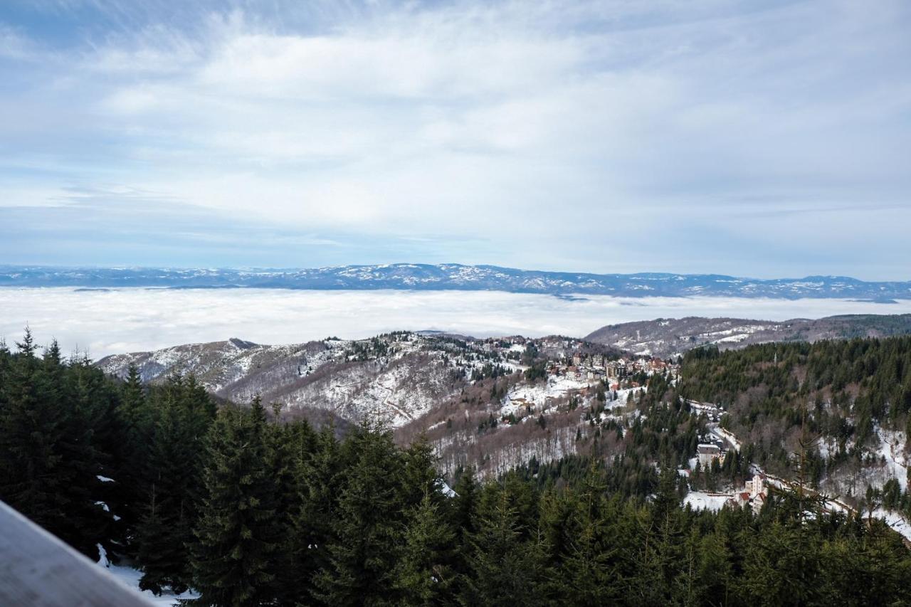 Vila Planinsko Blago Kopaonik Buitenkant foto